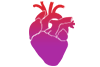 IDA and heart failure